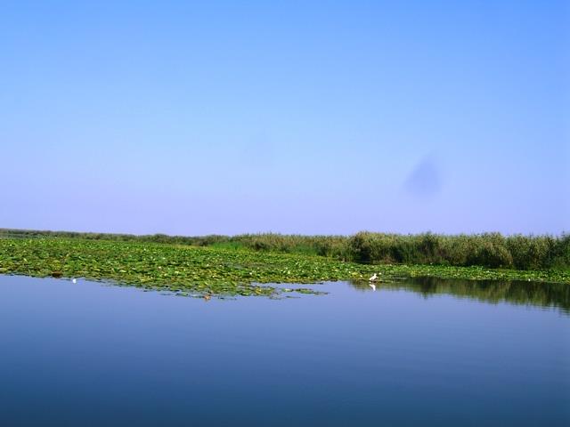 delta rosu 2007 - rosu-august-2007-211.jpg